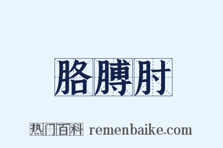 胳膊肘是什么意思的图片